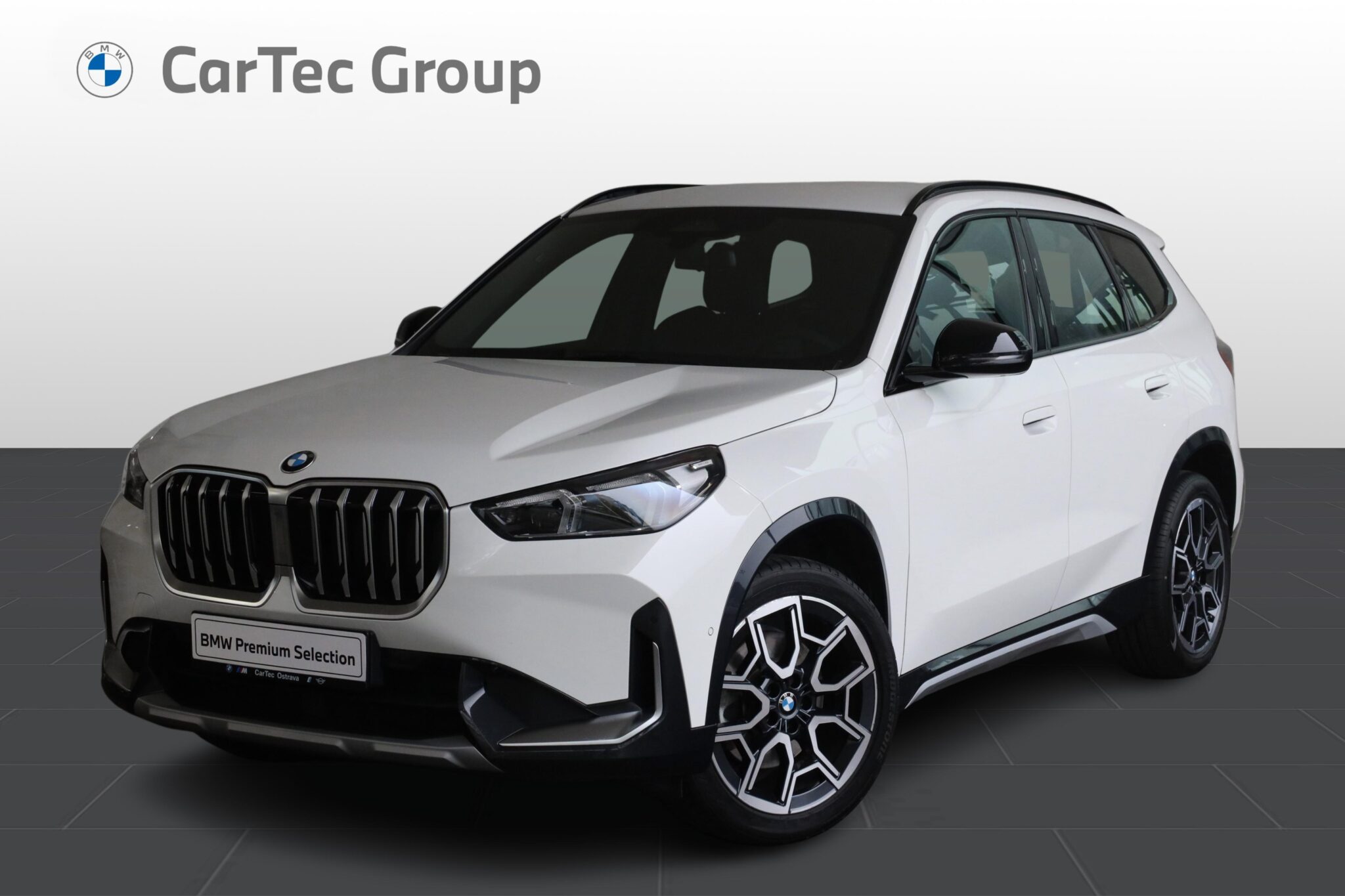 BMW X1 sDrive20i